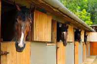 free Bramley Head stable construction quotes